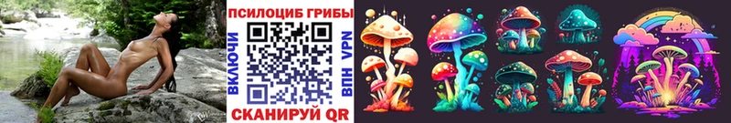хочу наркоту  Радужный  Галлюциногенные грибы Magic Shrooms 