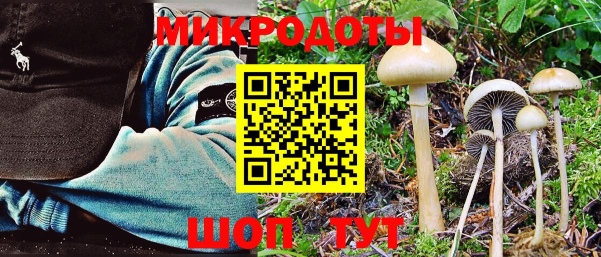 Псилоцибиновые грибы Psilocybe  Вход с VPN  Радужный 